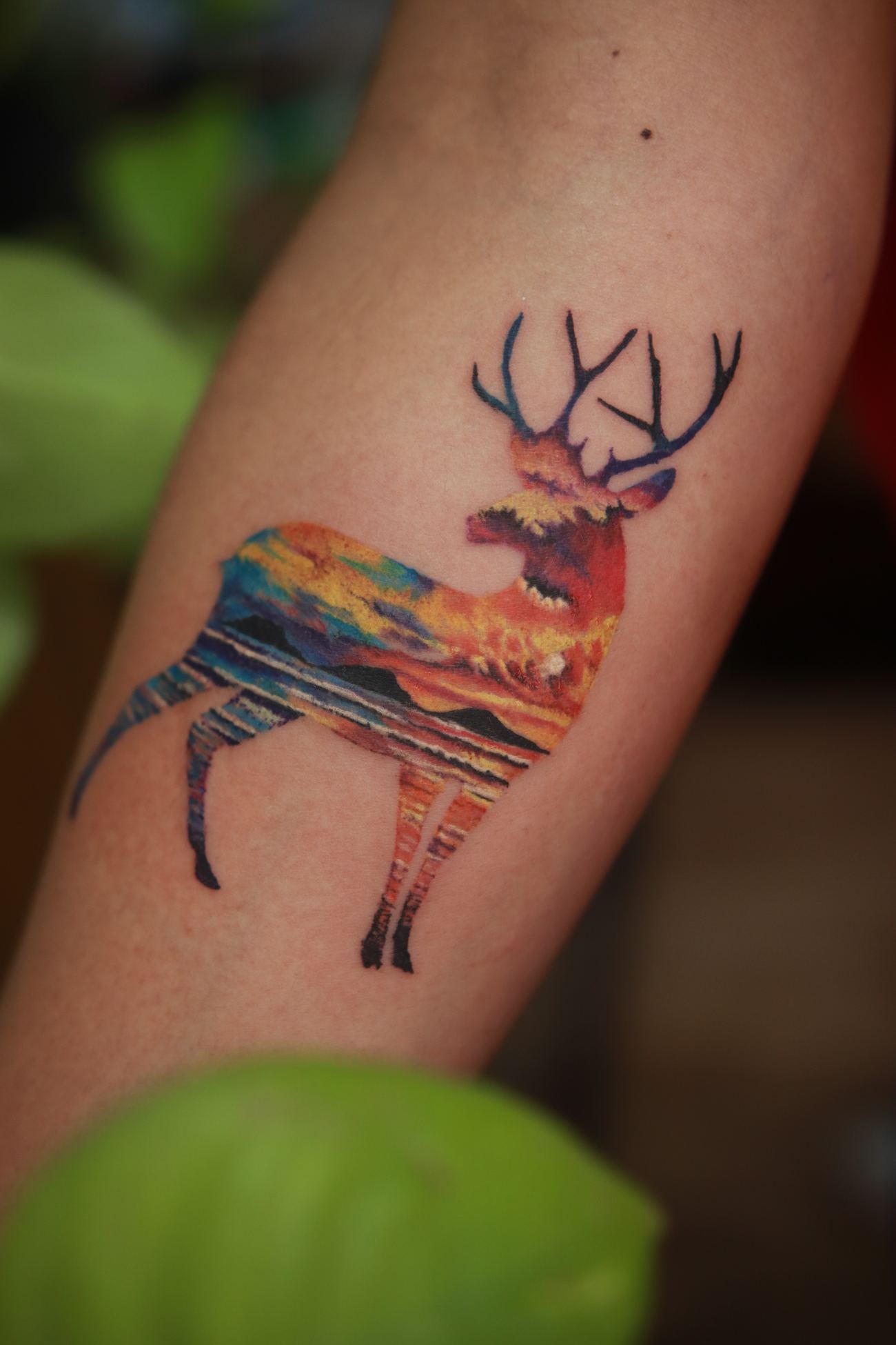 Tatuaje Color en Ink Fire, Mazatlán