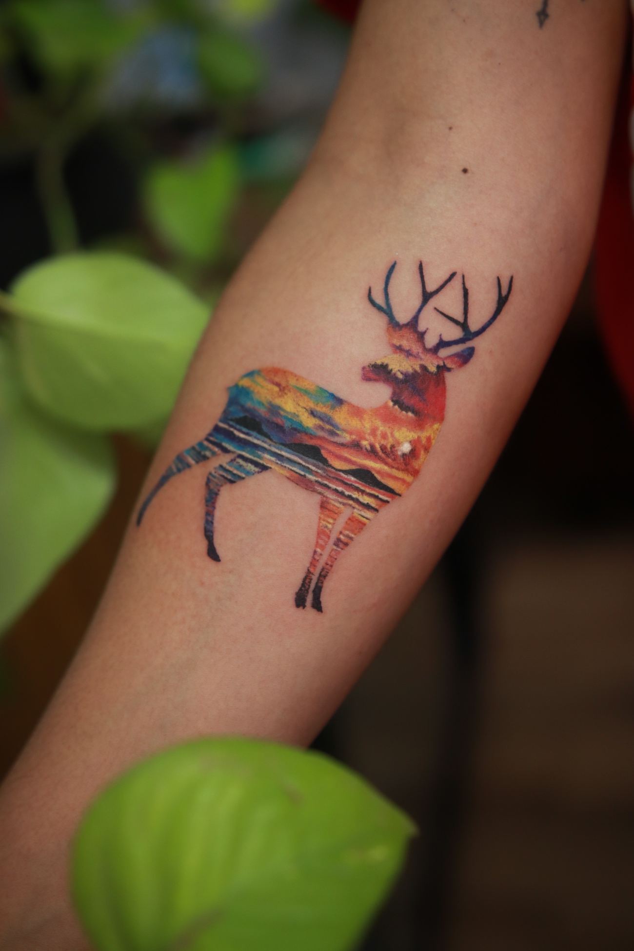 Tatuaje Color en Ink Fire, Mazatlán