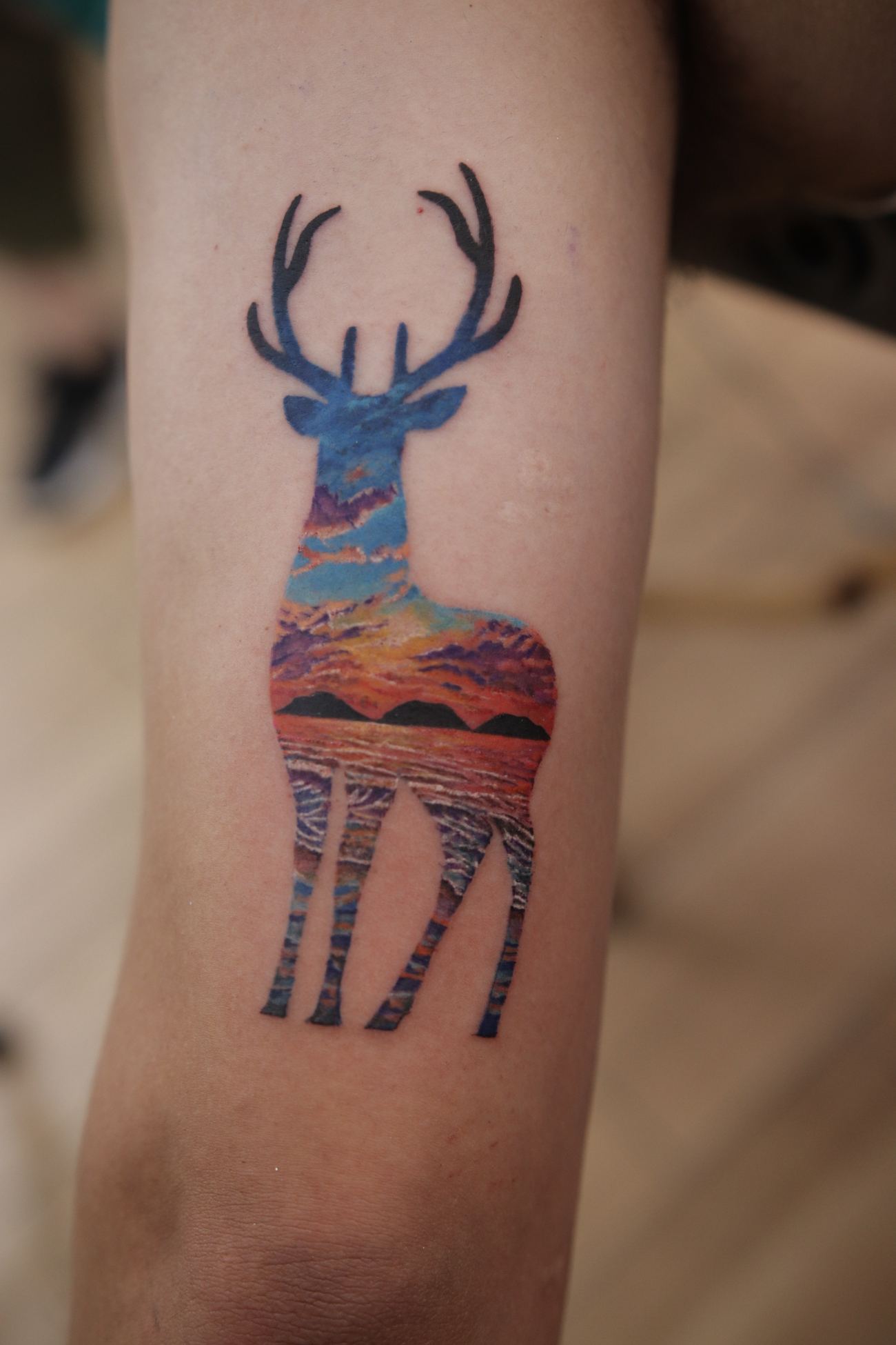 Tatuaje Color en Ink Fire, Mazatlán